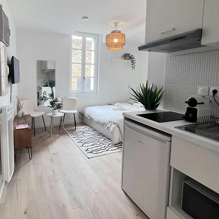 Le Saphir Appartement Toulouse Buitenkant foto